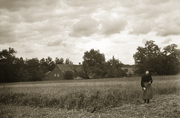 Friederike Böckstiegel bei der Feldarbeit in Arrode