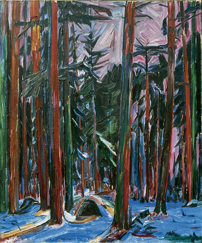 Mein Quartierswald im Osten, 1916